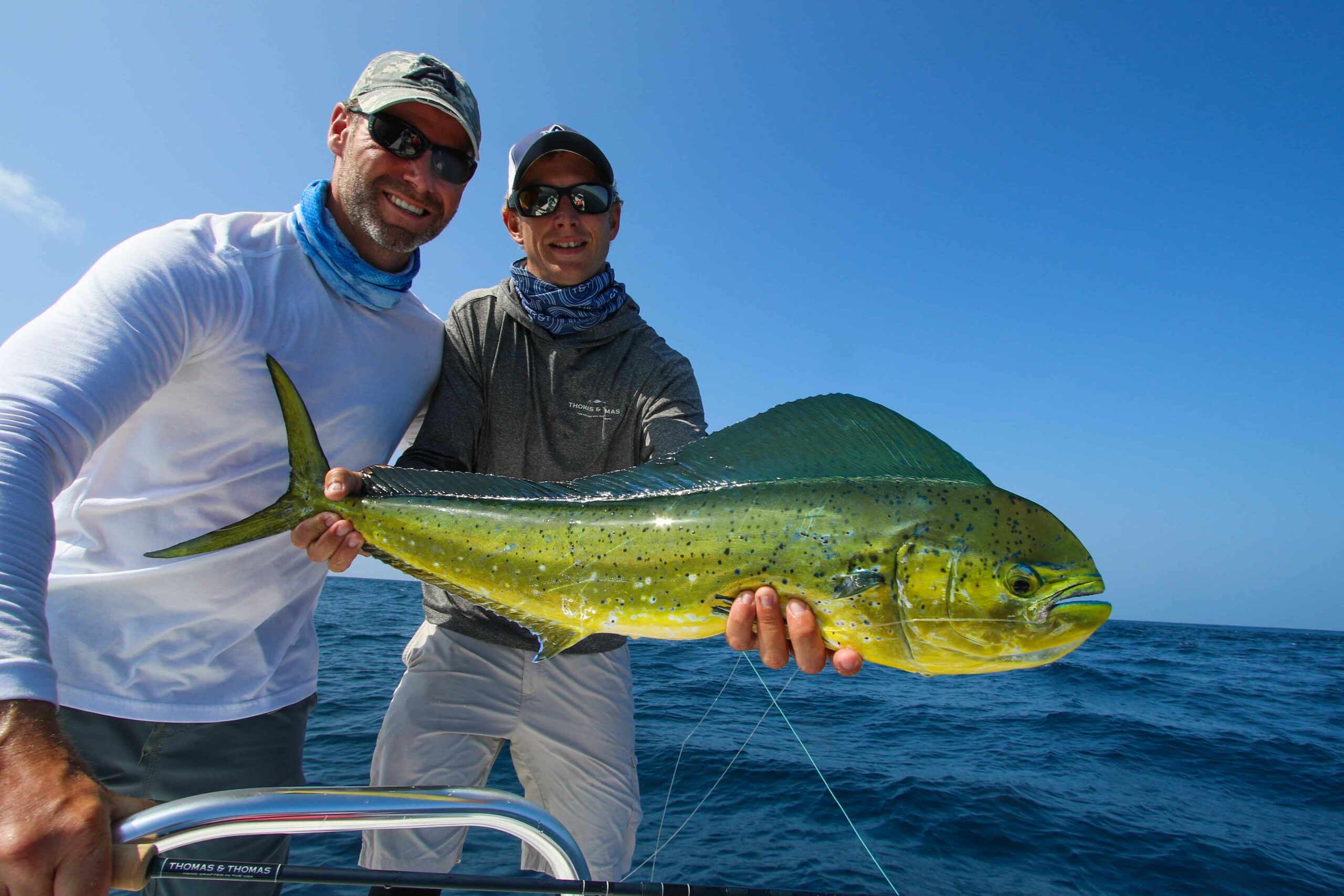 Dorado on the fly