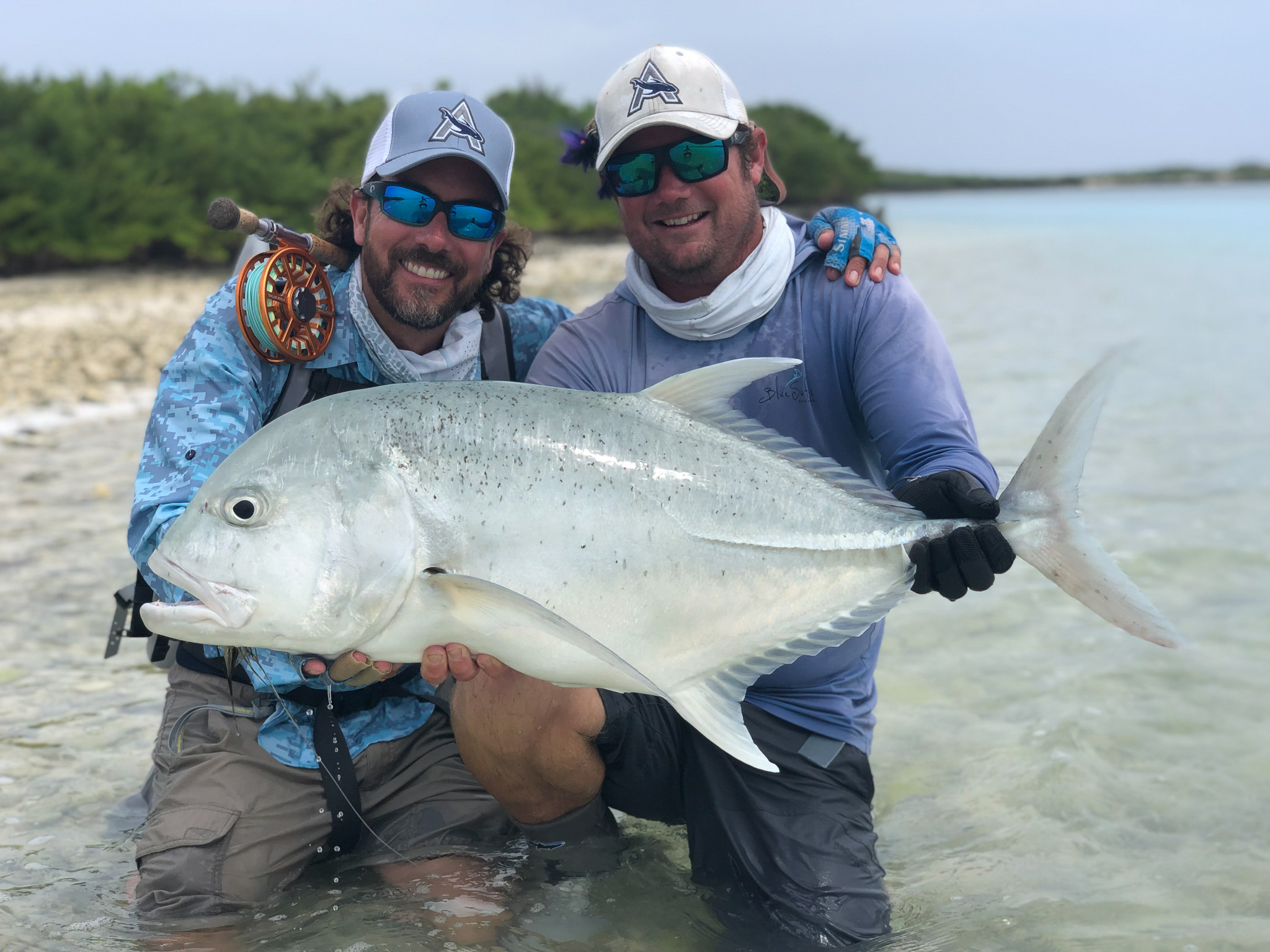 Seychelles-Giant-Trevally
