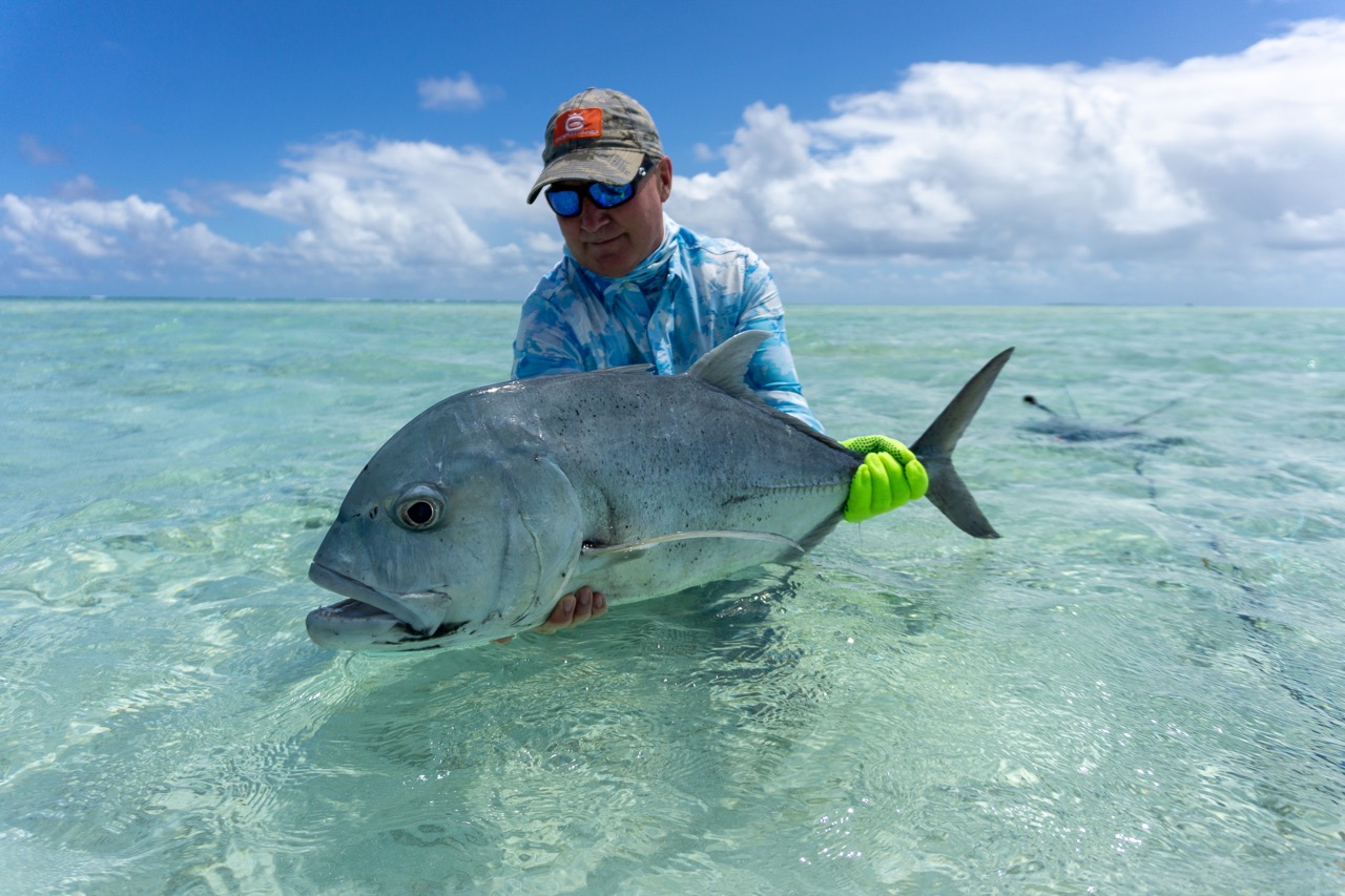 seychelles-giant-trevally