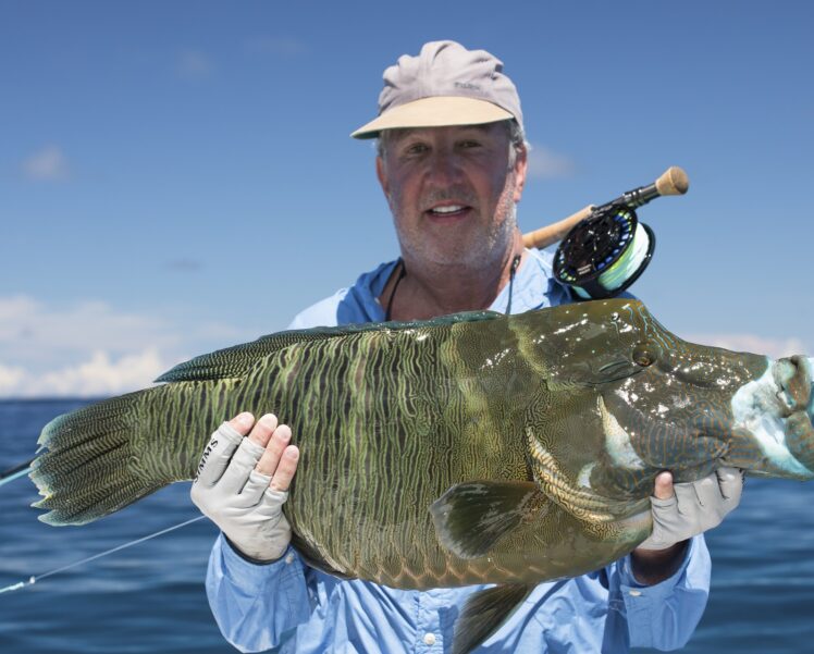 seychelles-humphead-wrasse