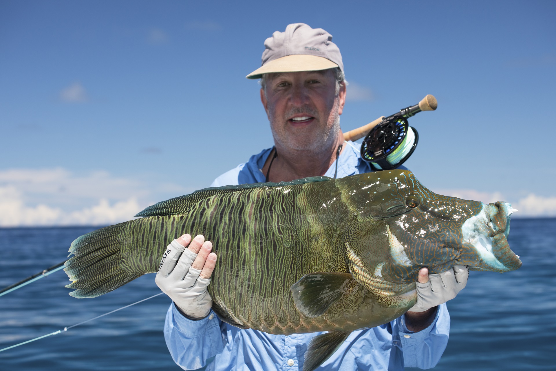 seychelles-humphead-wrasse