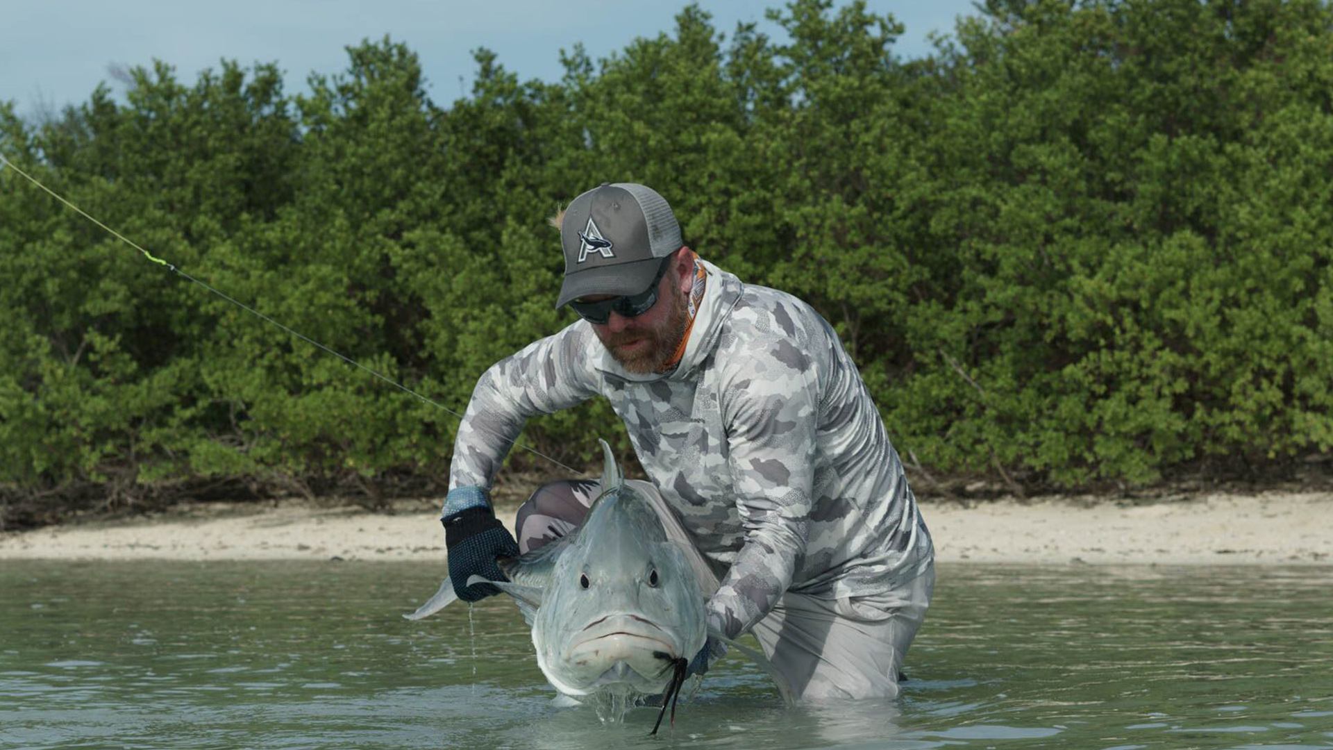 seychelles-giant-trevally