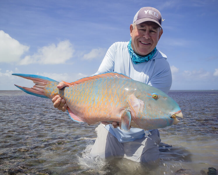 Seychelles-emerald-parrotfish