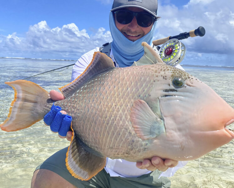 Seychelles-Triggerfish-Yellow-Margin