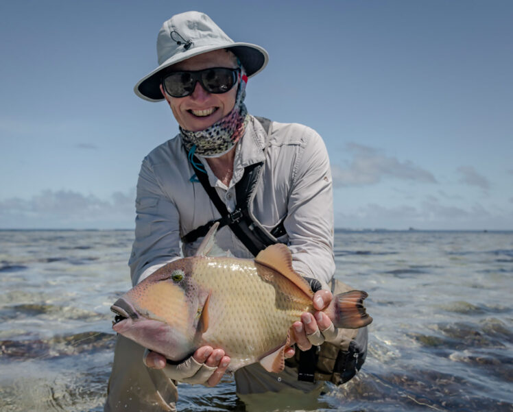 Seychelles-Triggerfish