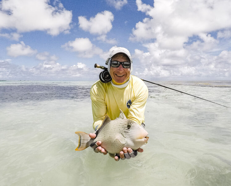 yellow-faced-triggerfish-seychelles