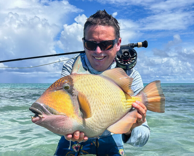 Alphonse Island Triggerfish