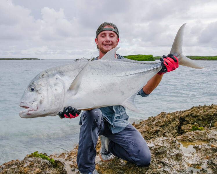 Astove Atoll Giant trevally