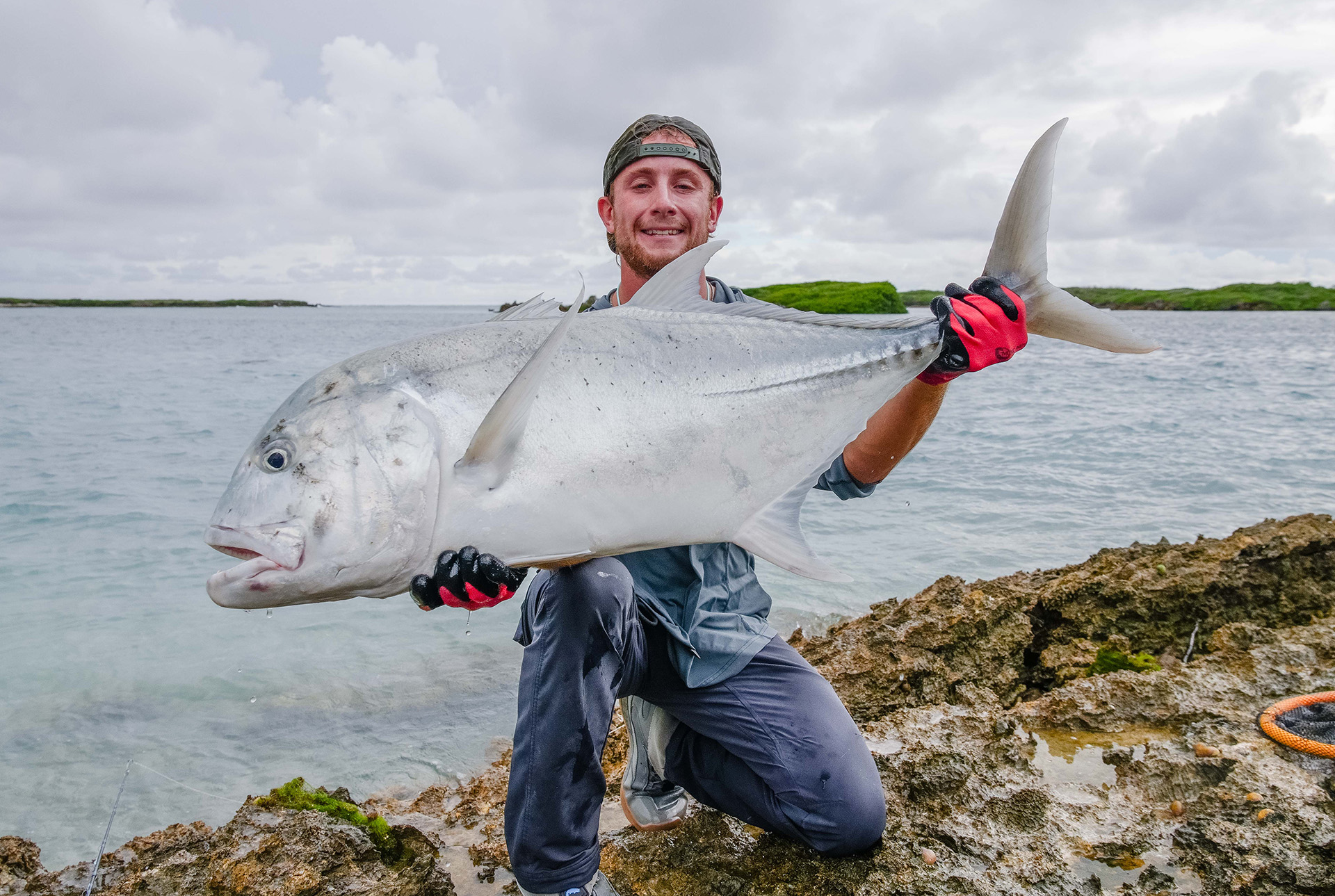 Astove Atoll Giant trevally