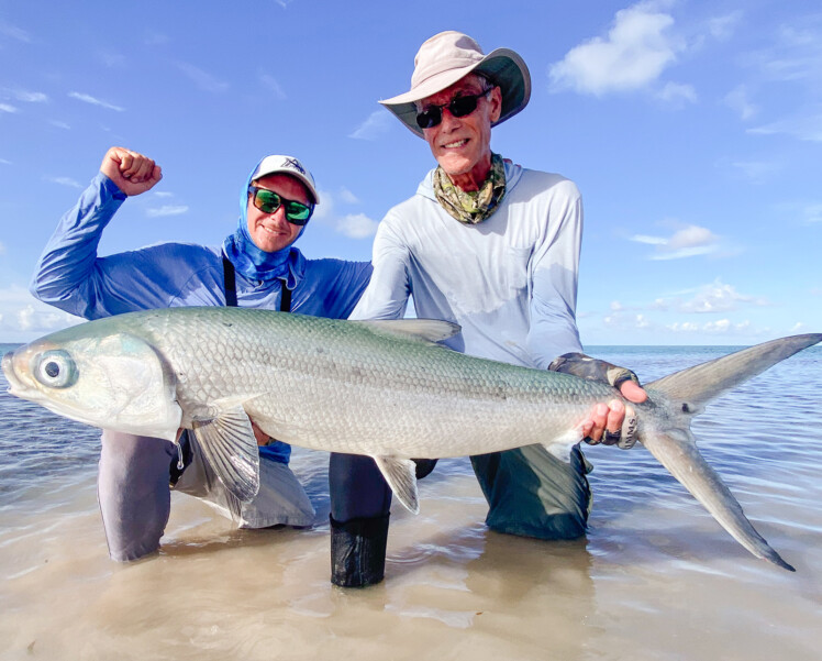 Alphonse island milkfish