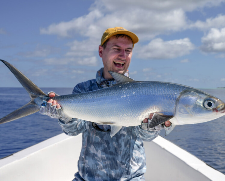 Astove Atoll Milkfish Fly fishing