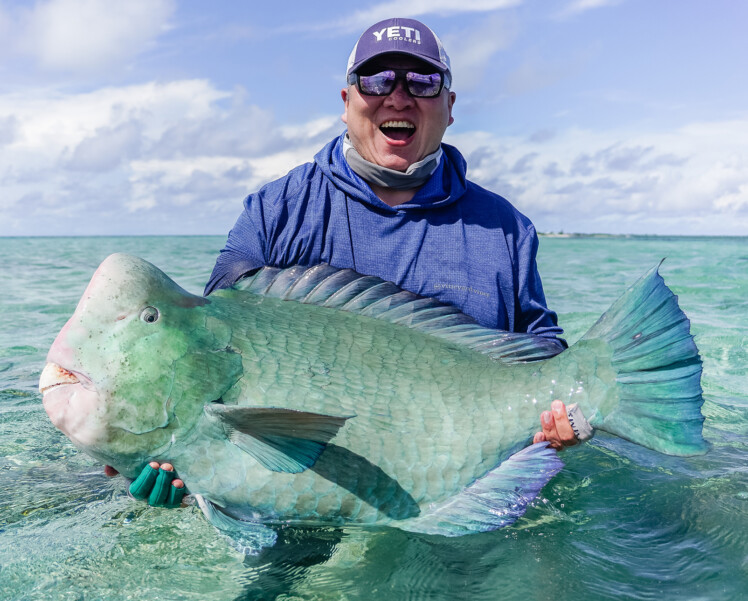 Farquhar Atoll Seychelles Bumphead parrotfish fly fishing